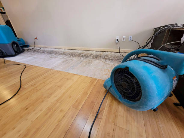 Professional Water Damage Repair technician working in Clarkesville, GA